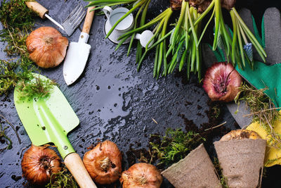 High angle view of onions and gardening equipment on wet stone