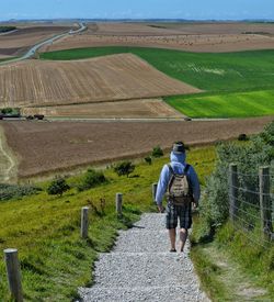 Rear view of man walking on steps towards agricultural field against sky
