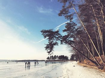 People on beach during winter against sky