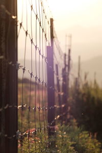 Fence on field against sky during sunset
