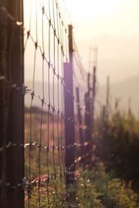 Fence on field against sky during sunset