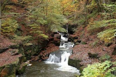 View of waterfall in forest