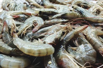 Full frame shot of prawns at market