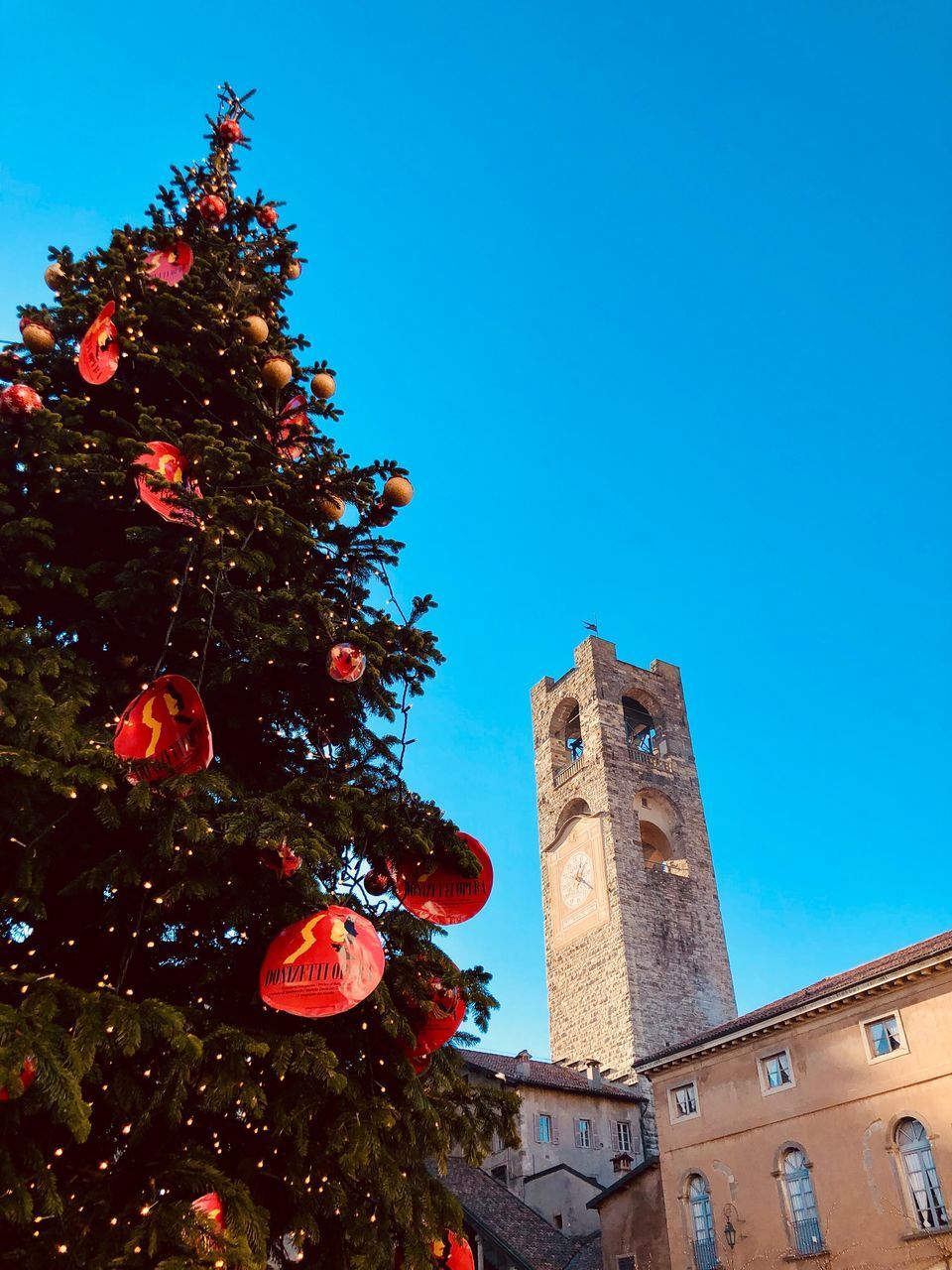 LOW ANGLE VIEW OF CHRISTMAS TREE BY BUILDING AGAINST SKY