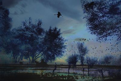 Low angle view of silhouette bird flying against sky