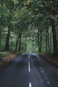 Empty road amidst trees in forest