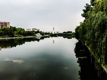 Reflection of trees in lake