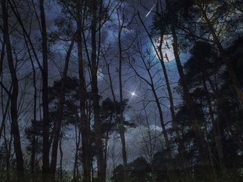 Low angle view of bare trees against sky