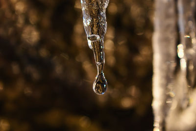 Close-up of icicles against blurred background