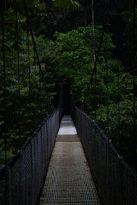 This suspension bridge for people only, crosses between two jungle mountains