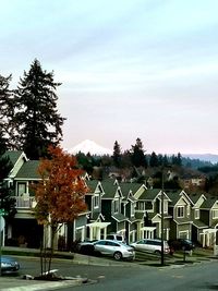 Cars on houses by trees against sky