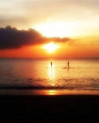 Scenic view of sea at sunset