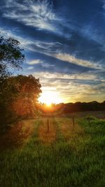 Scenic view of grassy field against sky at sunset