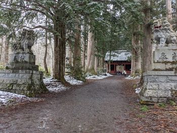 Footpath amidst trees and building in forest