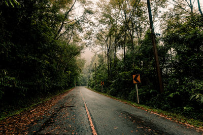 Countryside road passing through the lush green tropical rain forest mountain landscape