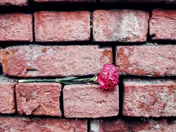 Detail shot of brick wall