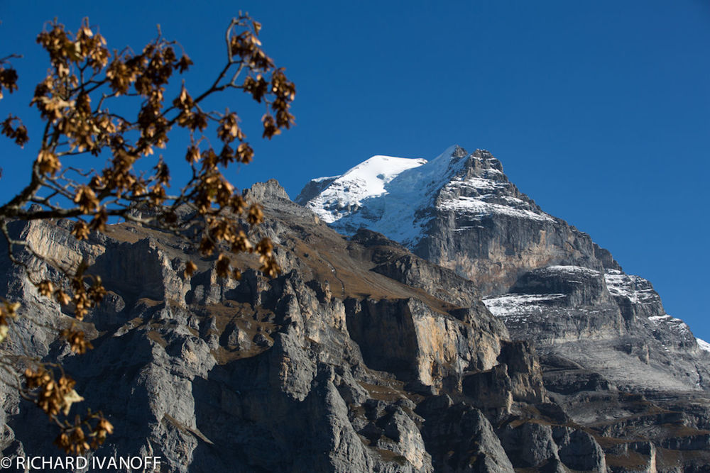 LOW ANGLE VIEW OF TREES AND MOUNTAIN AGAINST CLEAR BLUE SKY