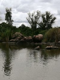 Scenic view of lake against sky