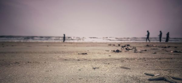 Scenic view of beach against clear sky