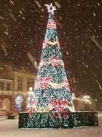 Illuminated christmas tree during winter at night