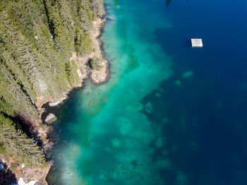 High angle view of forest and lake cresta with swimming pier