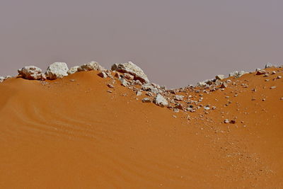 Close-up of sand on beach against clear sky