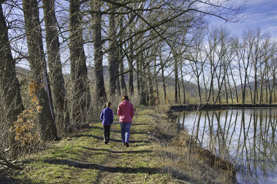 Rear view of people walking in forest