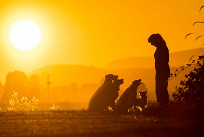 Silhouette mature woman with dogs standing on field against orange sky during sunset