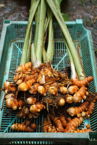 High angle view of vegetables on barbecue grill