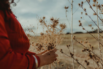 Woman with red dress picking dryied flowers