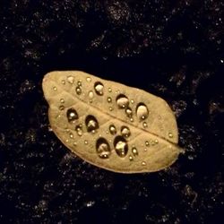 High angle view of water drops on glass