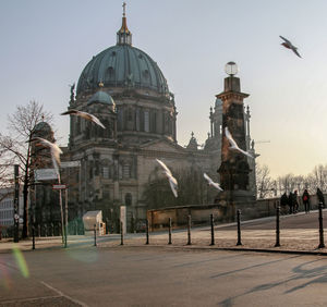 Birds flying over street against berlin cathedral in city