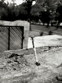 Close-up of smoking on ground