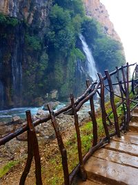 Scenic view of waterfall in forest