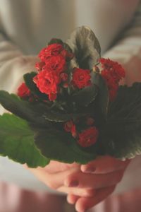 Close-up of hand holding rose bouquet