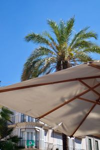 Low angle view of palm trees against clear blue sky