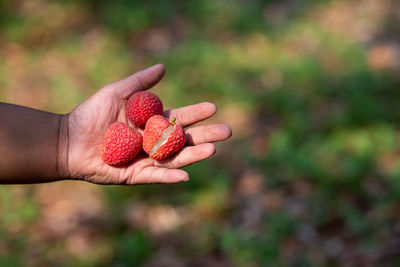 Close-up of hand holding strawberry