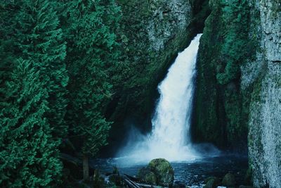 Waterfall amidst rocks at forest