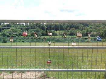 Plants growing on field by railing against sky