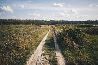 Scenic view of agricultural field against sky