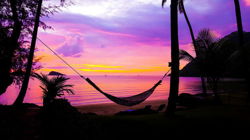 Silhouette palm trees on beach against sky during sunset