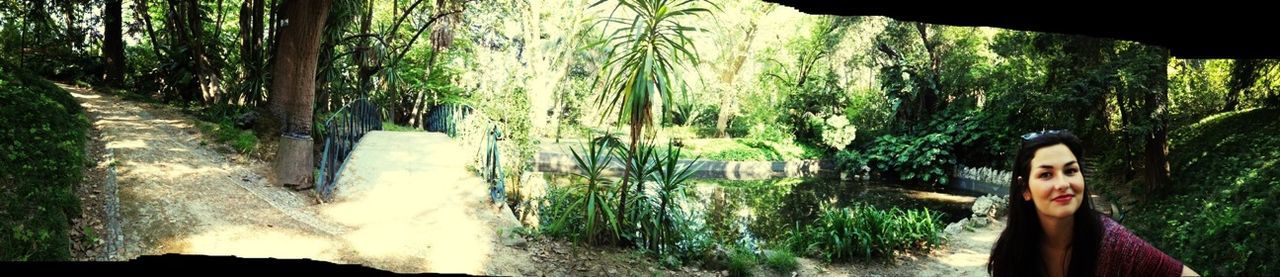 tree, lifestyles, leisure activity, young adult, standing, person, plant, growth, young women, casual clothing, forest, men, sunlight, nature, day, water, outdoors, relaxation