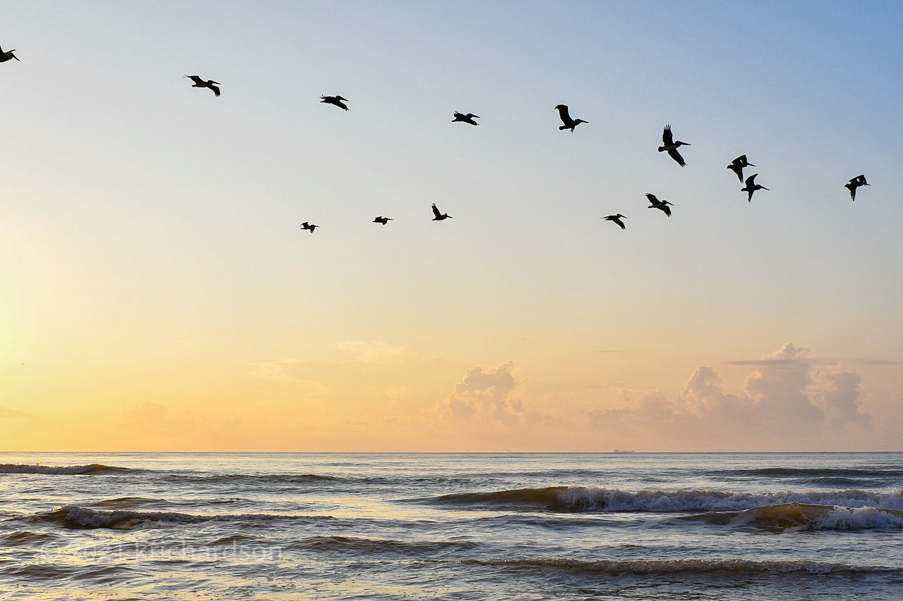 BIRDS FLYING OVER SEA AGAINST SKY