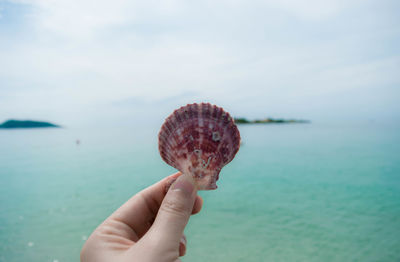 Hand holding ice cream against sea