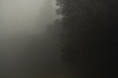 Scenic view of foggy weather