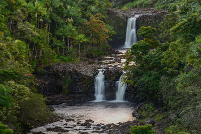 Umauma falls near hilo hawaii at sunset