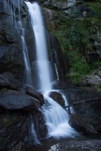 Scenic view of waterfall in forest