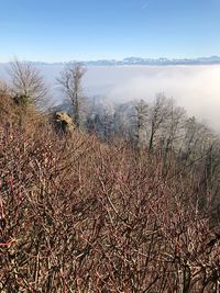 Scenic view of land against sky