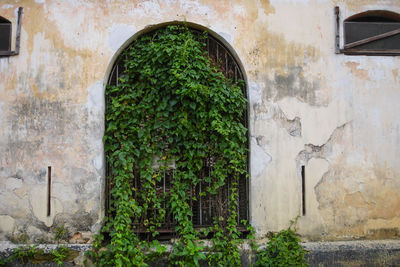 Close-up of old door