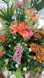 Close-up of pink flowers blooming outdoors